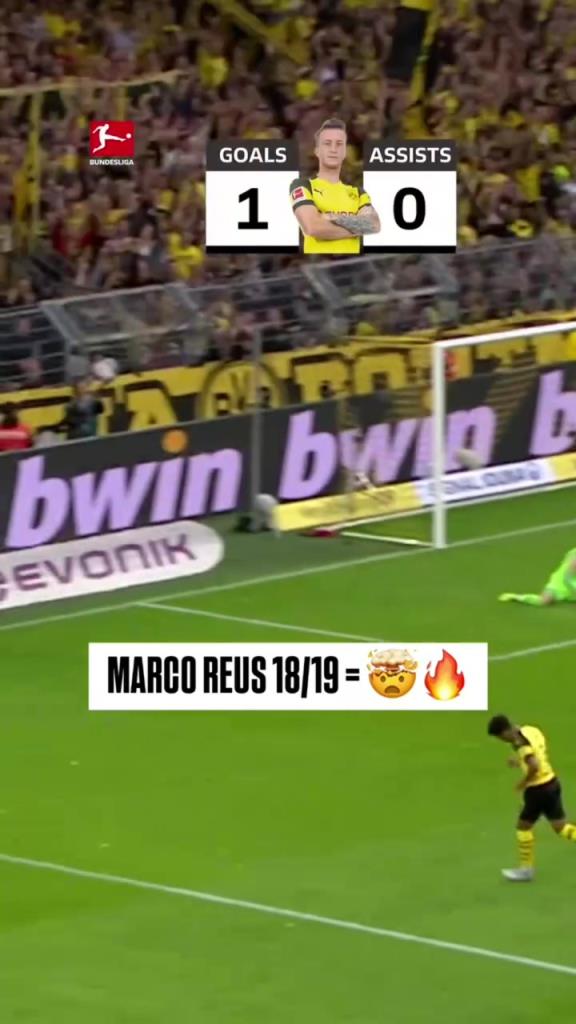 回憶殺！羅伊斯18/19賽季德甲快速回顧！精彩的一個(gè)賽季！